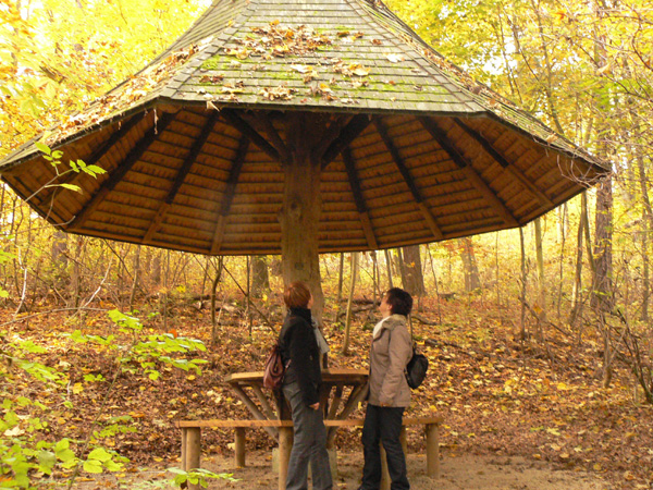 Die Pilzhütte am Hütten-Wanderweg