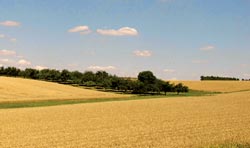 eine Landschaft zum Wandern
