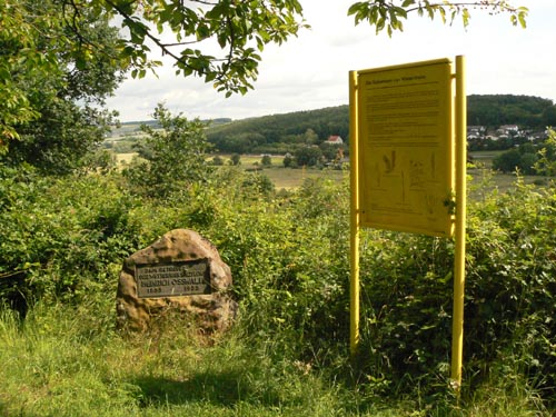 Informationstafel Salzpflanzen