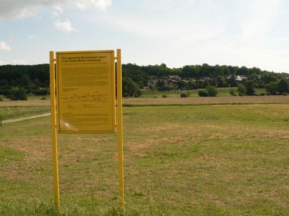 Salzwiesen und Infotafel