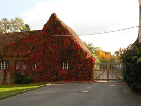 Nebenhaus